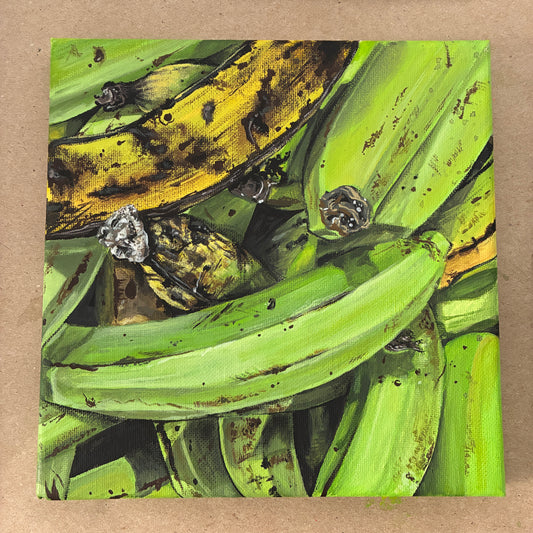 platanos @ La Altagracia