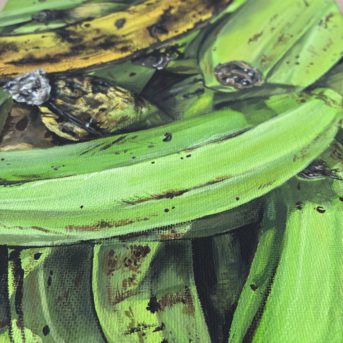 platanos @ La Altagracia