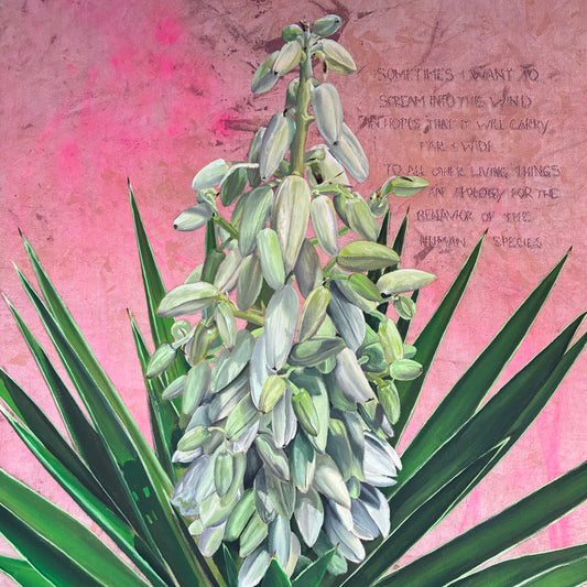 into the wind (Yucca)